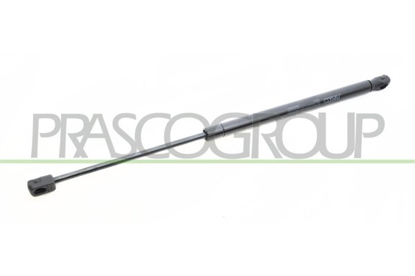 Gasfeder, Koffer-/Laderaum hinten links,hinten rechts für RENAULT CLIO I (B/C57_, 5/357_)