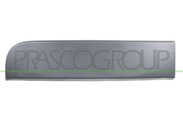 Zier-/Schutzleiste, Tür hinten rechts für RENAULT MASTER III Bus (JV)