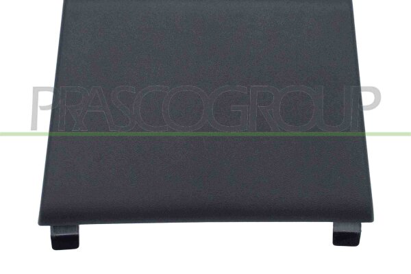 Blende, Stoßfänger vorne für RENAULT TRAFIC III Kasten (FG_)