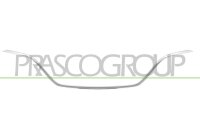 Zier-/Schutzleiste, Kühlergitter für RENAULT...