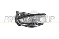 Blinkleuchte Außenspiegel,Außenspiegel links...