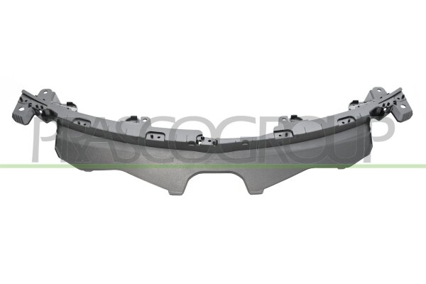 Halter, Kühlergitter für LEXUS UX (_AA1_, _AH1_, _MA1_)