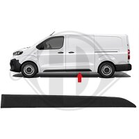 Zier-/Schutzleiste, Tür hinten rechts für...