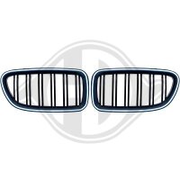 Kühlergitter vorne für BMW 5 (F10)