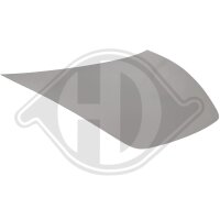 Motorhaube für TESLA MODEL 3 (5YJ3)