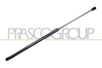 Gasfeder, Koffer-/Laderaum hinten links,hinten rechts...