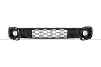 Lüftungsgitter, Stoßfänger...