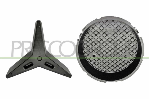 Blende, Kühlergitter vorne für MERCEDES-BENZ R-CLASS (W251, V251)