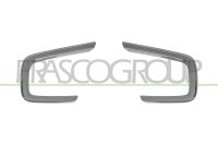 Zier-/Schutzleiste, Stoßfänger vorne...