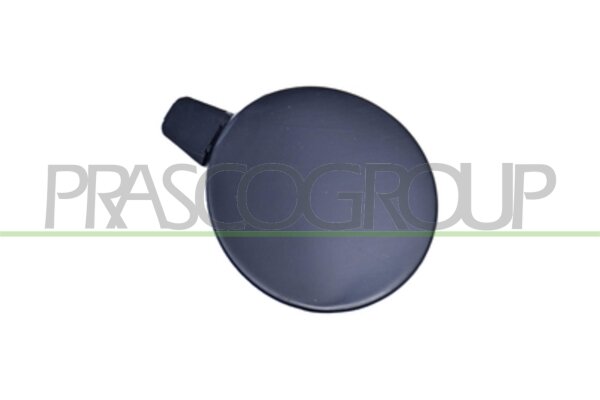 Klappe, Abschlepphaken vorne für TESLA MODEL Y (5YJY)