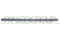 Zier-/Schutzleiste, Tür hinten links für VW...