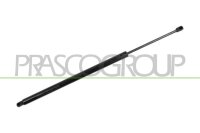 Gasfeder, Koffer-/Laderaum hinten links,hinten rechts...