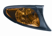 Blinkleuchte vorne rechts für BMW 3 (E46)